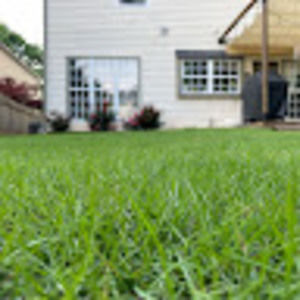 Meet your Posher, Manol